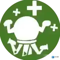 辐射避难所Online计划