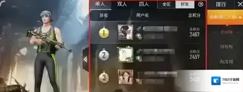 和平精英如何看