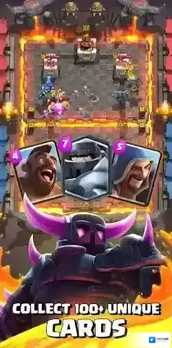 皇室战争国际服卡组