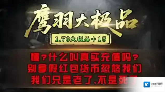 鹰羽76大极品金币