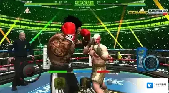 终极拳击冠军终极