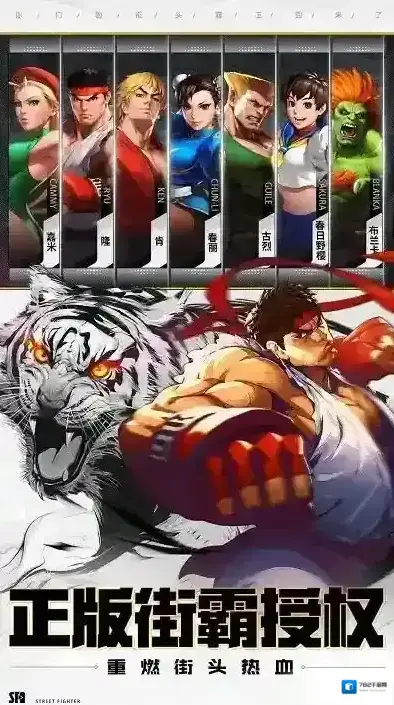 街霸对决格斗家