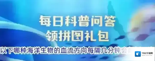 以下哪种海洋生物的血流方向每隔几分钟会颠倒一次
