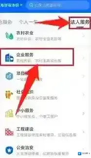 新海南企业服务