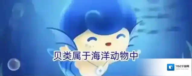 贝类属于海洋动物中