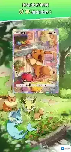 PokemonTCGPocket玩家
