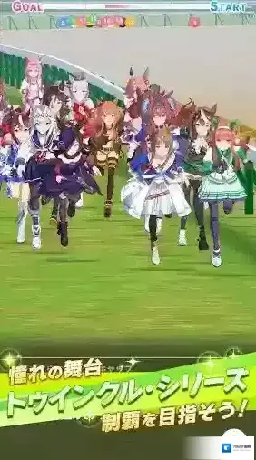 赛马娘日服属性