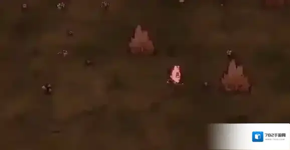 饥荒新家园精神