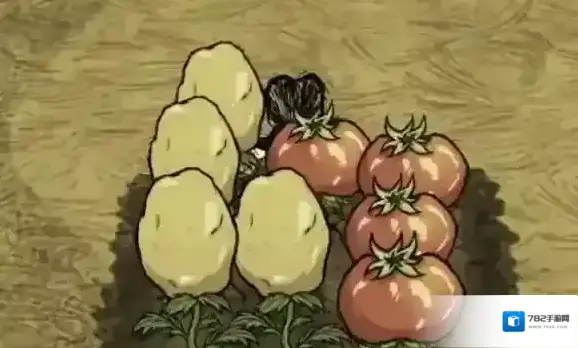 饥荒新家园帐篷