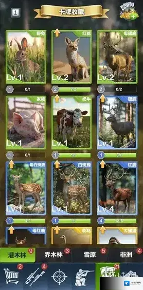 疯狂神射手能力