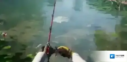 欢乐钓鱼大师钓鱼