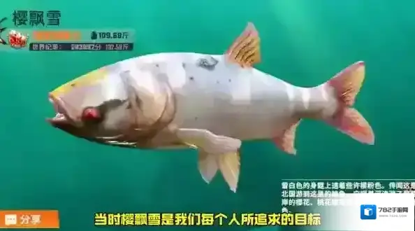 欢乐钓鱼大师钓鱼