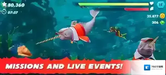 饥饿鲨进化国际服饥饿鲨进化