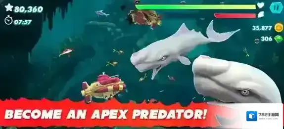 饥饿鲨进化国际服鲨鱼