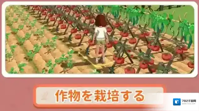 小森生活日服料理