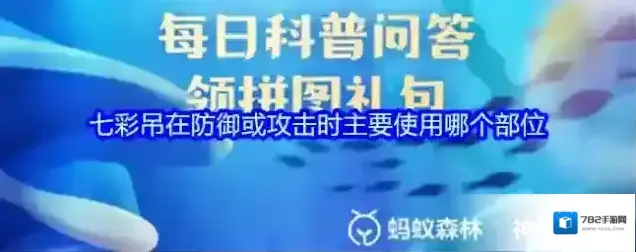 七彩吊在防御或攻击时主要使用哪个部位