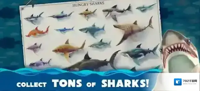饥饿鲨世界国际服鲨鱼