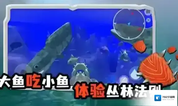 海底大猎杀鱼类