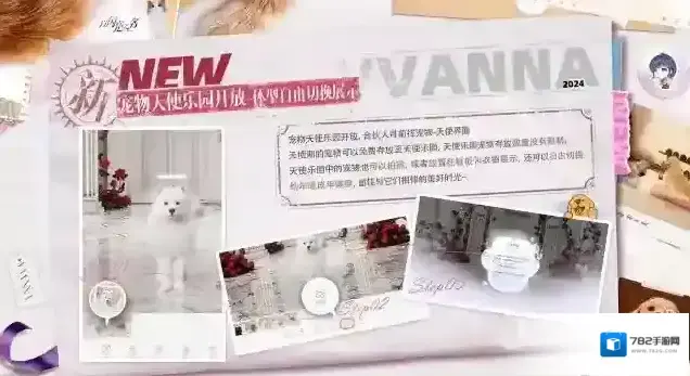 以闪亮之名宠物系统又双叒叕上新及优化，合伙人养宠更安心