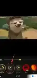 清爽视频编辑器页面