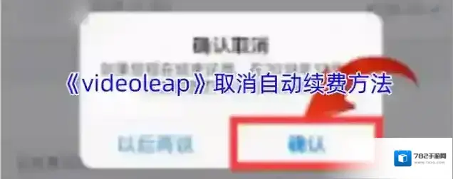 Videoleap点击