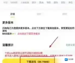 闪电龟玩的游戏