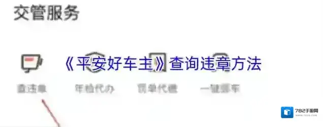 平安好车主信息