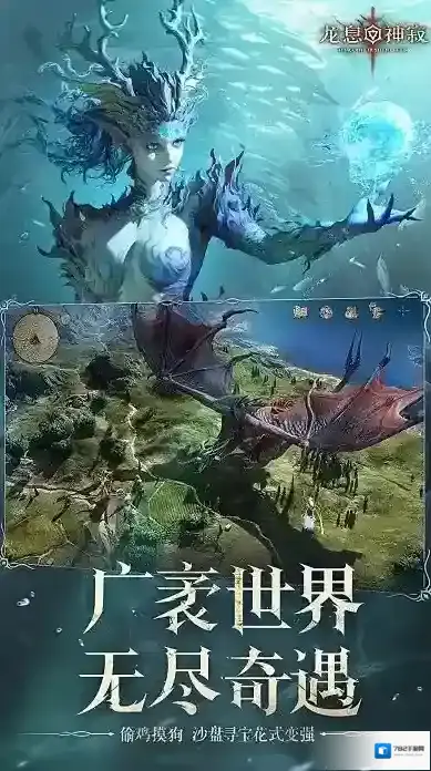 龙息神寂国服英雄