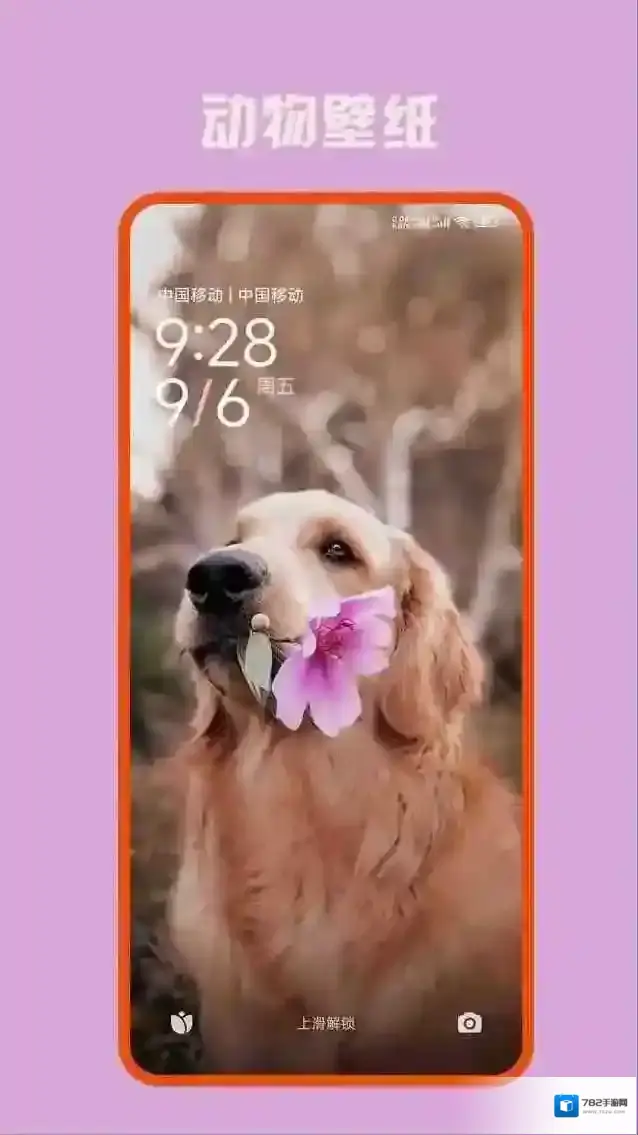 口袋免费壁纸口袋