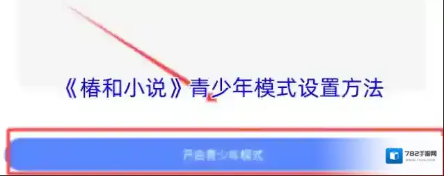 椿和小说青少年模式