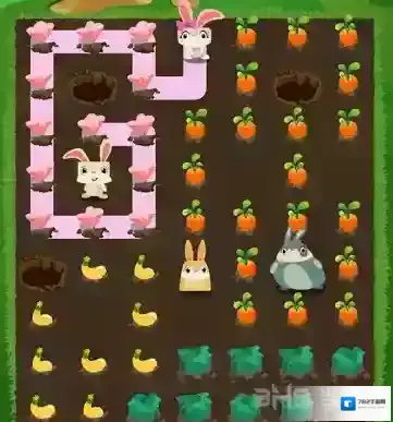 兔子复仇记中文版五针松