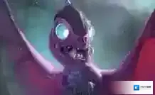 炉石传说新版恶毒龙牧卡组分享 炉石传说双子龙牧