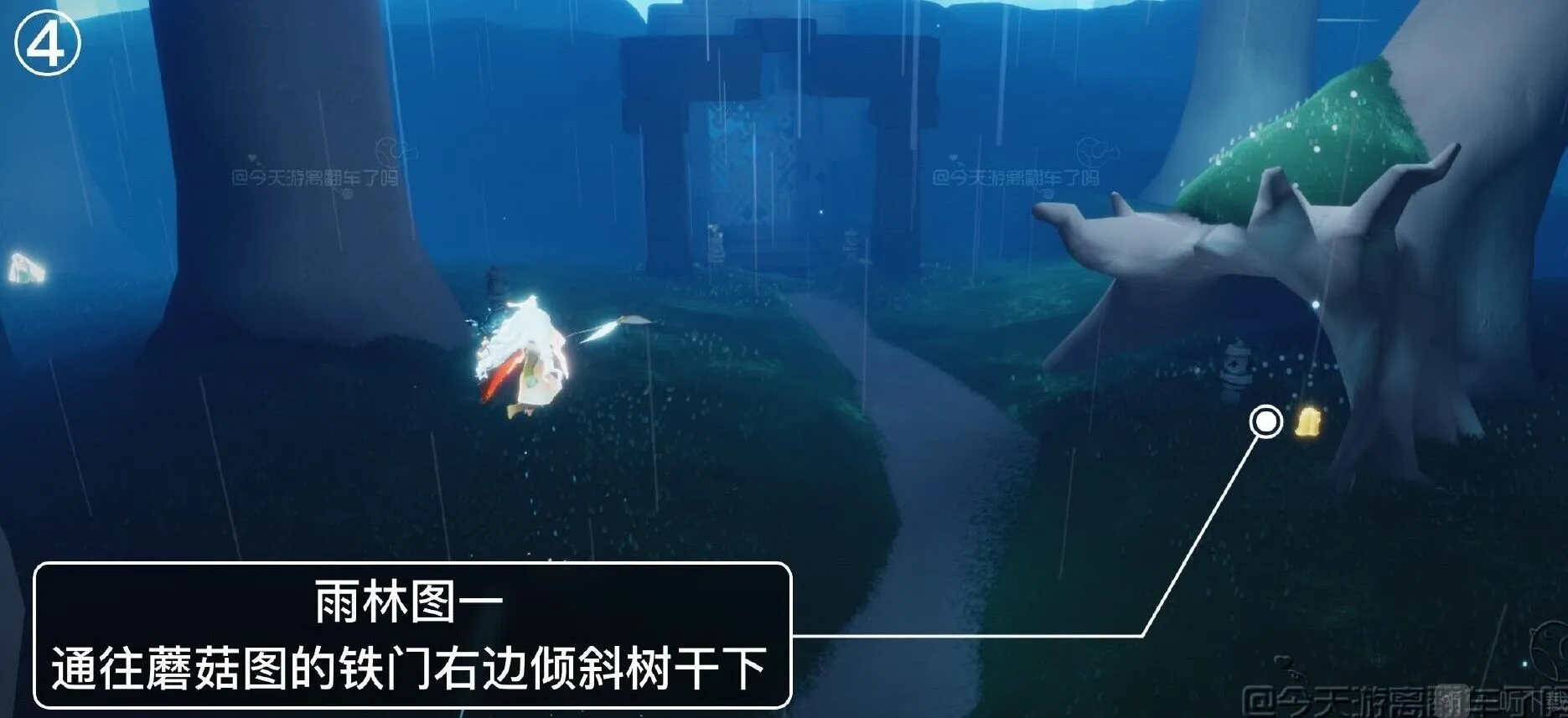 光遇小编