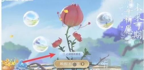 王者荣耀祈愿花怎么用 祈愿花获得方式及使用方法