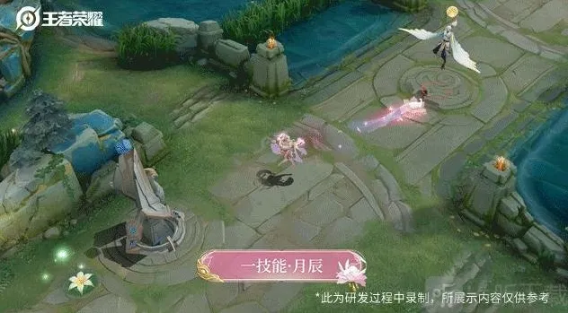 王者荣耀花瓣