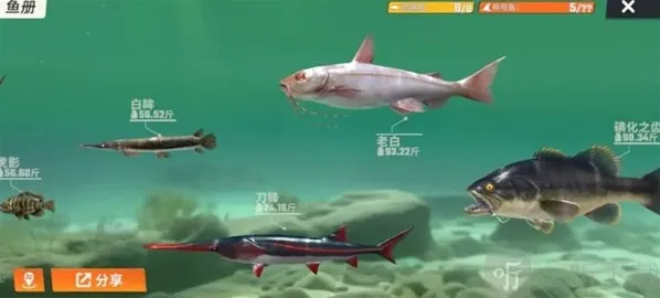 欢乐钓鱼大师体力