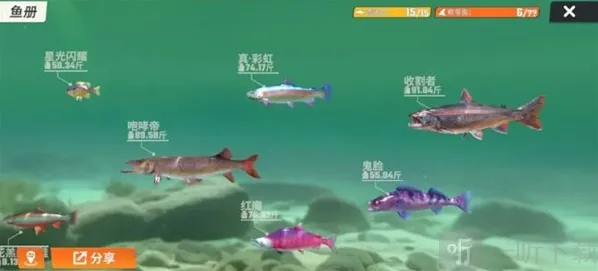 欢乐钓鱼大师大师