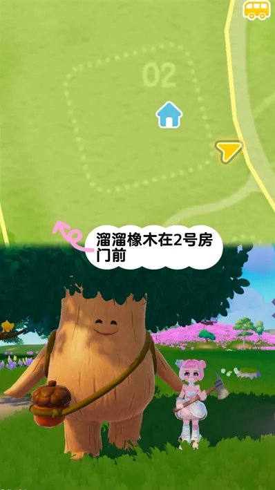 心动小镇橡木