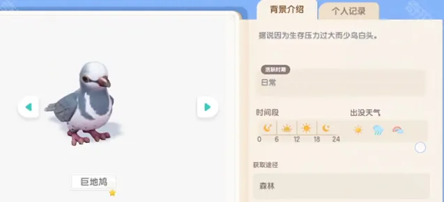 心动小镇巨地