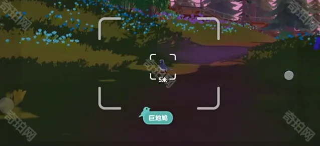 心动小镇小镇
