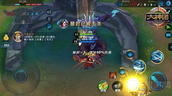 王者荣耀打野