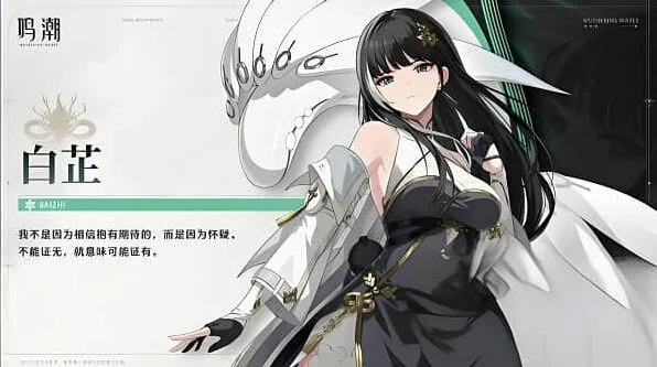 鸣潮白芷玩法介绍攻略