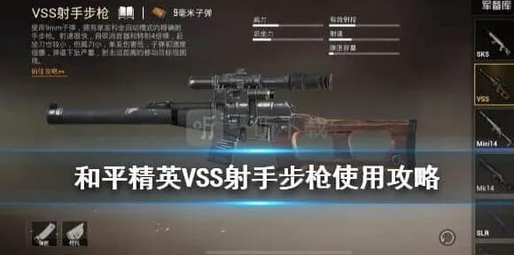 和平精英VSS使用教程详解