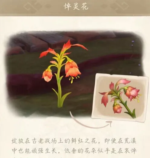 原神悼灵花刷新时间指南