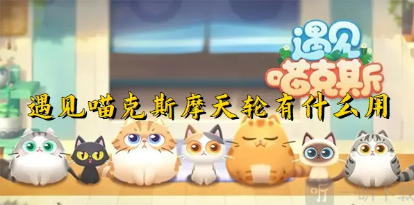 遇见摩天轮有什么作用教程