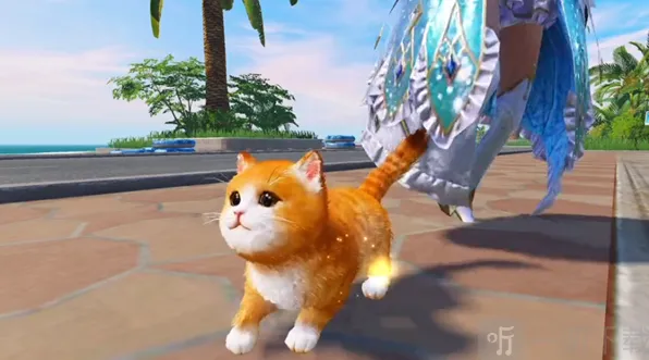 《和平精英》猫咪名字修改详细方法