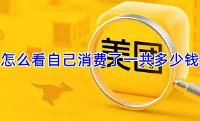 如何查看美团消费总额——美团使用教程