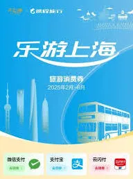 微信上海消费券领取实用技巧