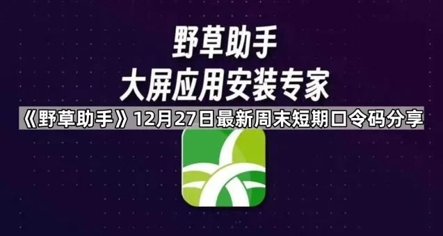 夸克12月27日最新周末短期口令码分享操作教程