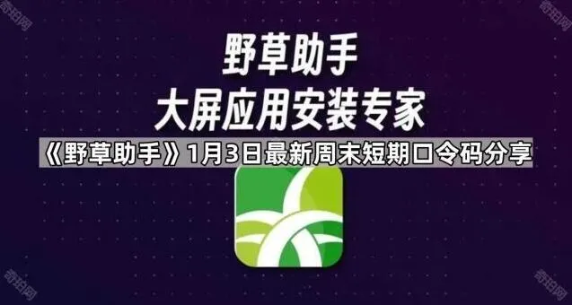 《夸克》远程安装页面操作指南